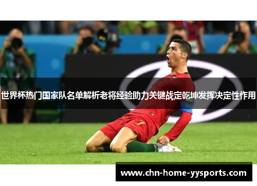 世界杯热门国家队名单解析老将经验助力关键战定乾坤发挥决定性作用